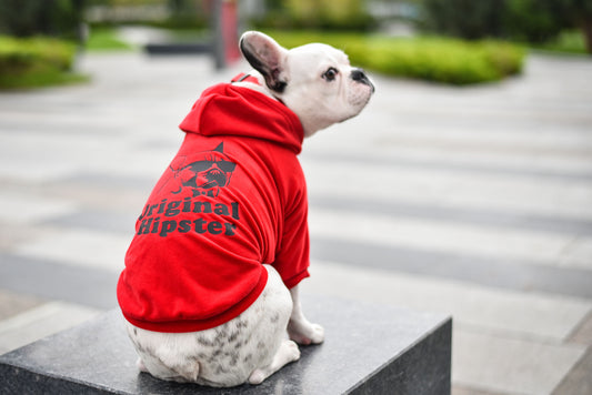 Cool Pet Hoodie