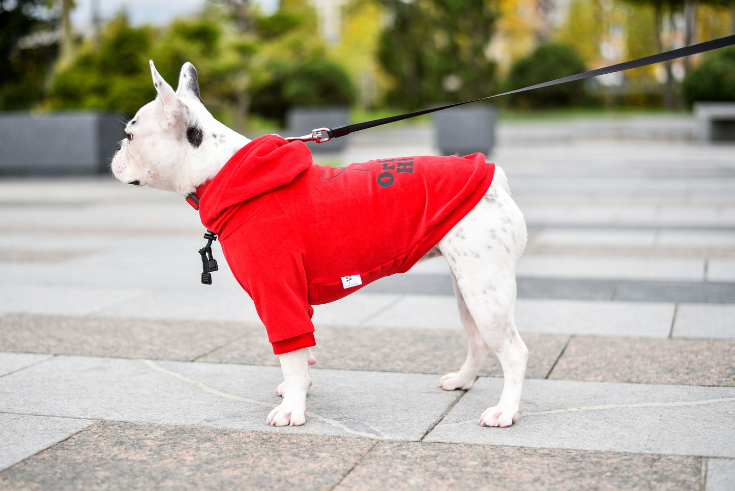 Cool Pet Hoodie