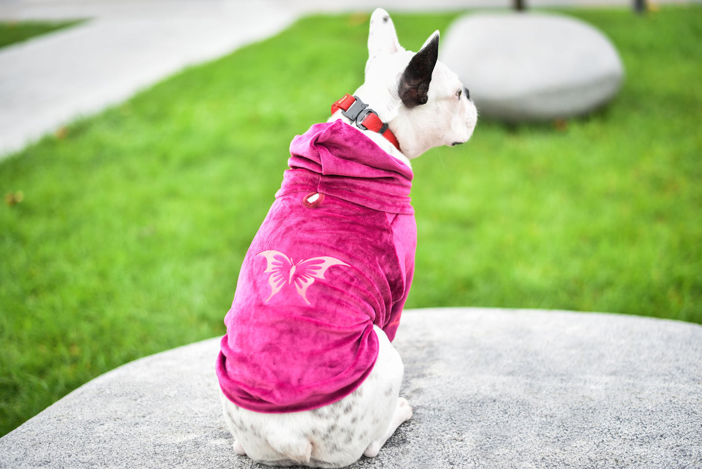 Liberty Pet Hoodie