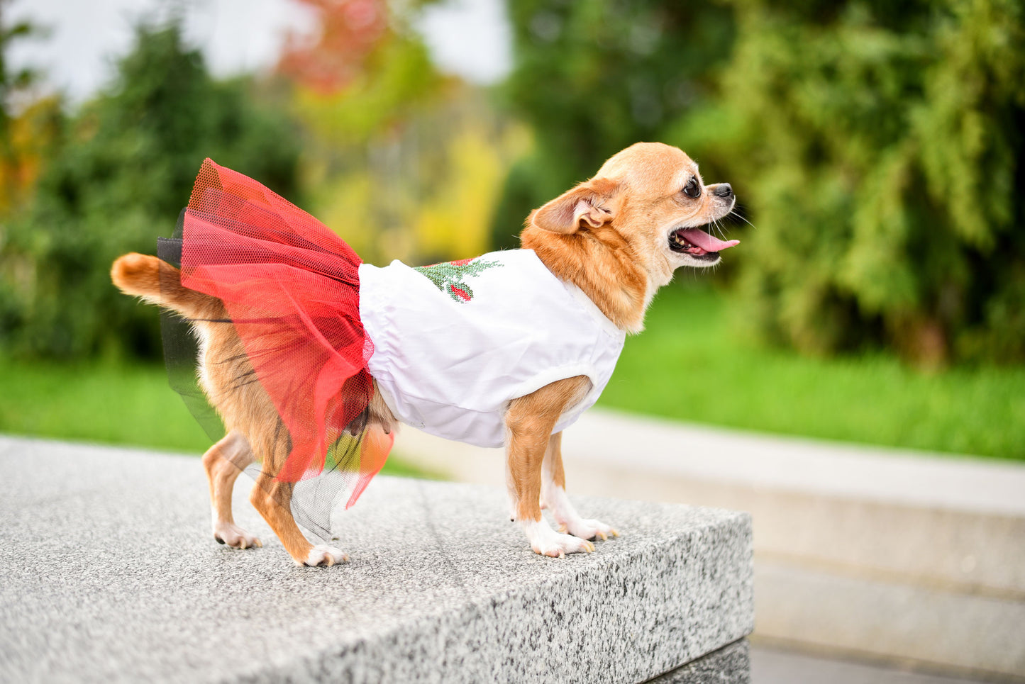 Puppy Fashionista Dress