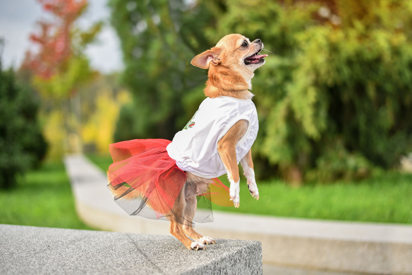 Puppy Fashionista Dress