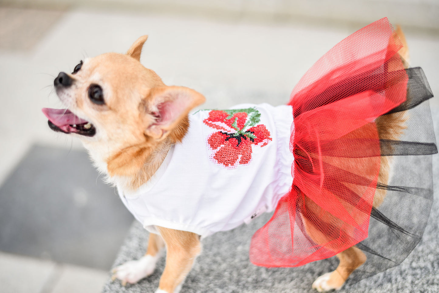 Puppy Fashionista Dress