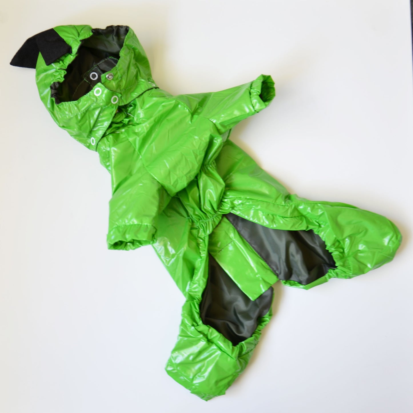 Dino Dog Raincoat