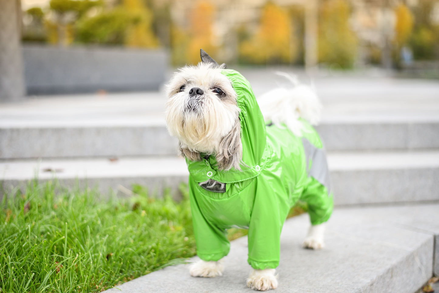 Dino Dog Raincoat