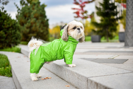 Dino Dog Raincoat